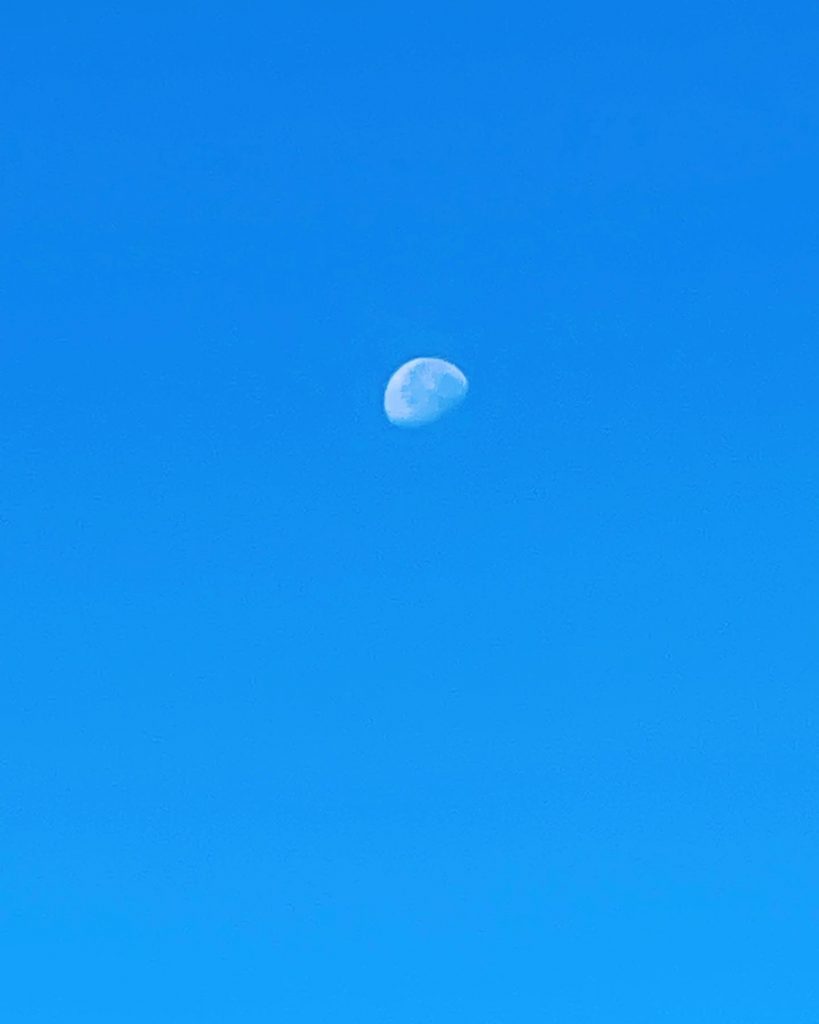 空にめり込む月みたいです