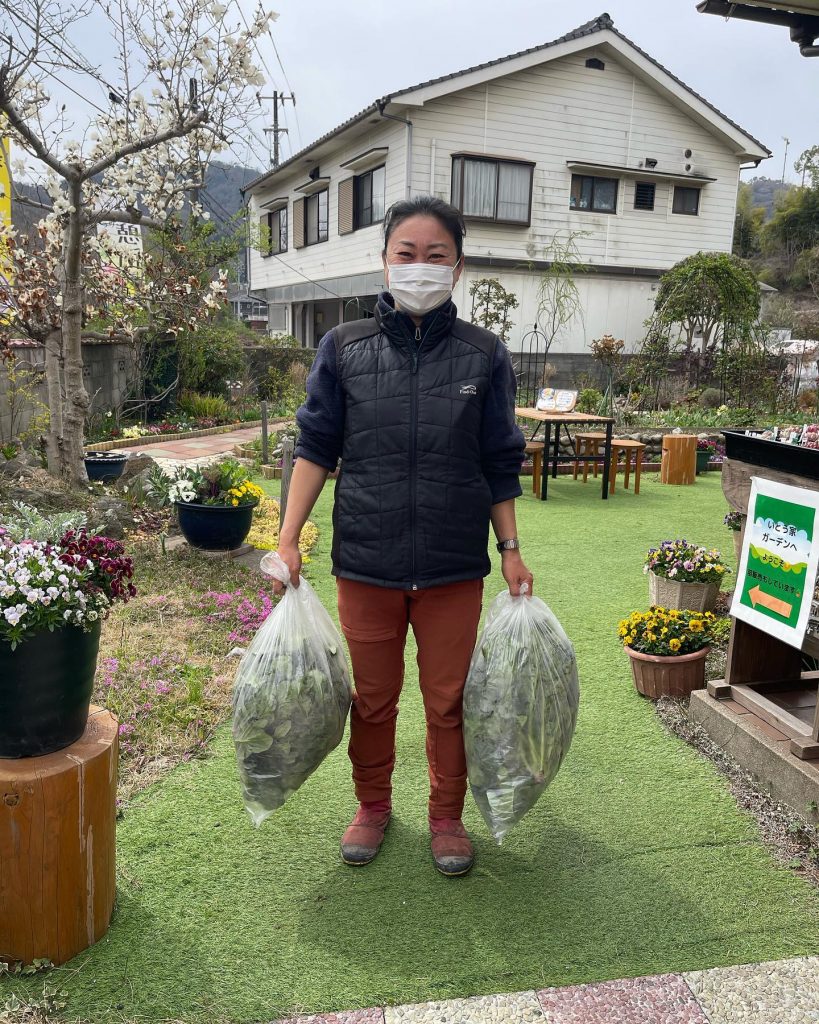 こんにちはいつもお世話になっている高田ハーベストさん茎まで食べられるほうれん草を納品して頂きました?短い茹で時間でびっくりするほど柔らかい茎地の野菜のありがたさをいただきま〜す?ブロッコリーの唐揚げ?綺麗な花と共に