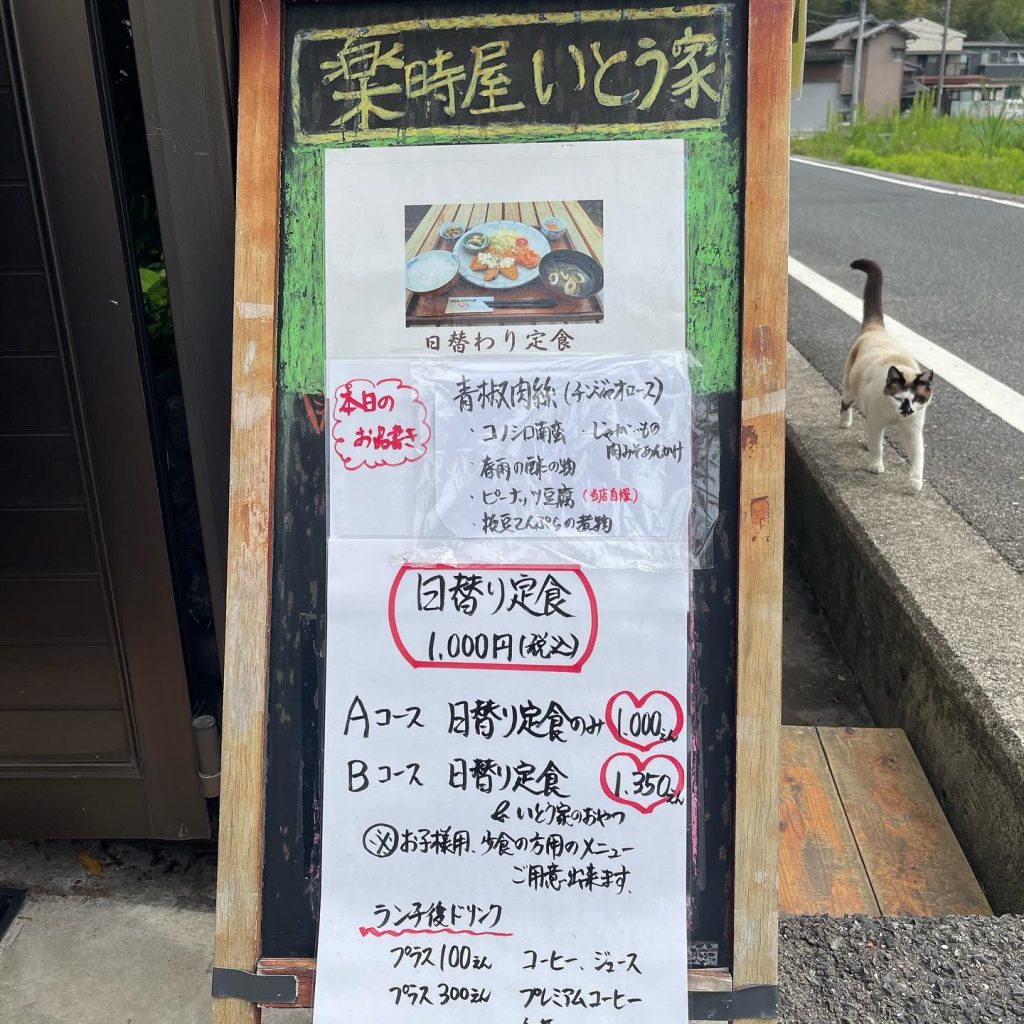 おはようございます本日5月17日のお品書きは満開のバラと新入荷の多肉植物と共に?バラは5月末までの期間限定ですこの期間にバラの中で記念撮影はいかがでしょう？たくさんの花々がお待ちしています