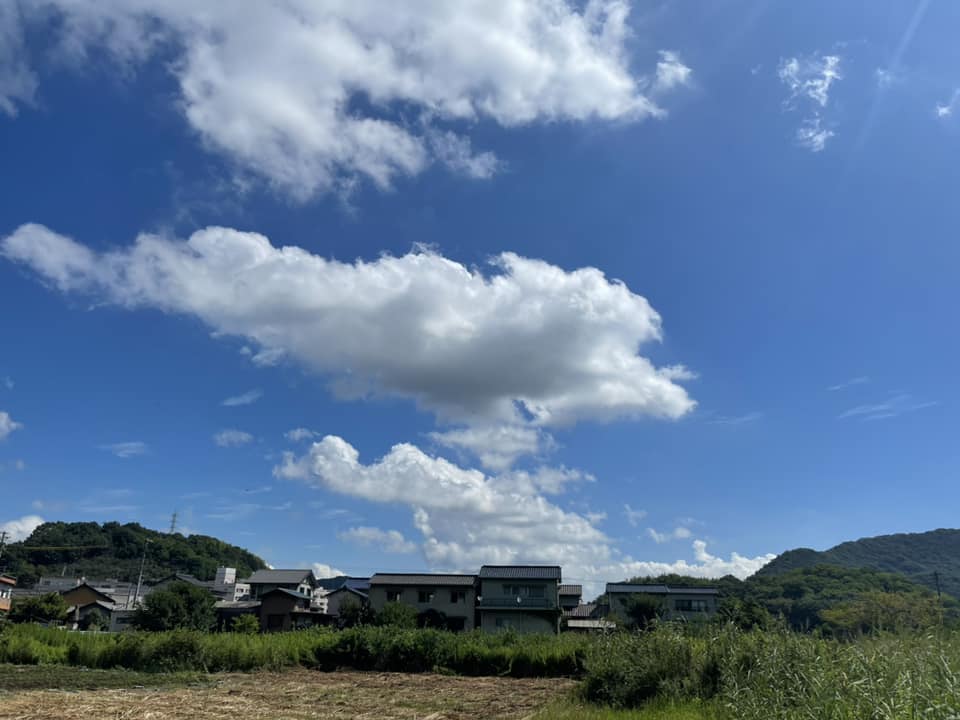 おはようございます​​​​本日9月4日のお品書きです​​​​先日、勉強を兼ねておじゃましました、​福山市にあるうさぎ、さん?​お店の至る所にうさぎ?さん?​テーブルの飾りも可愛いものばかり​​​​ご飯も美味しく頂きました​特にスペアリブが好みでございました​外にはかわいいニャンコのクリップが​​​​ご馳走様でした?​​​​いとう家は毎週金曜日、土曜日がお休みです。