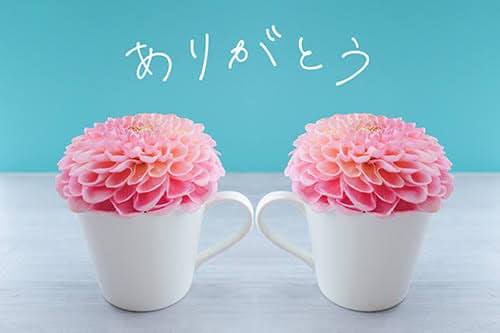 こんばんは本日の3周年イベント開催沢山のご来店、メッセージを頂き誠にありがとうございます個々にメッセージ返信をしていたので目がしょぼしょぼ?笑ですが沢山の繋がり、たくさんの笑顔があふれる1日になりました️疲れが吹き飛ぶくらい嬉しく思いました?明日からまた、臨機応変にをテーマに頑張りま〜す